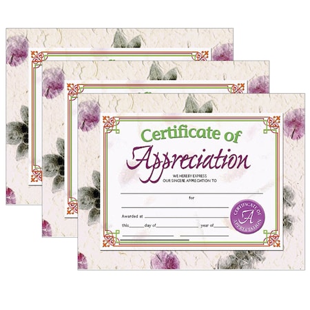 Hayes Certificate of Appreciation, PK90 VA614